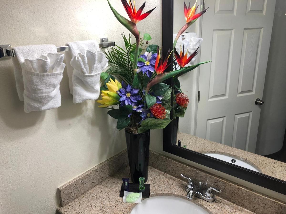 Econo Lodge Choice Hotels I 95 Savannah Gateway 24 Hour Fitness Center On Site Guest Laundry On Site Perkins Restaurant Georgetown Luaran gambar